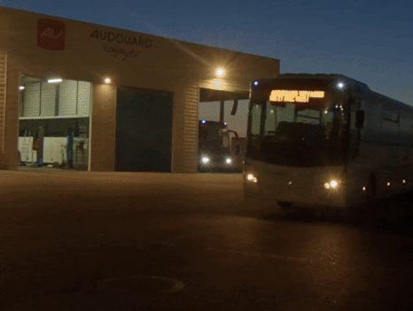 animation et motion design